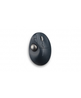 Kensington Pro Fit Ergo TB550 компьютерная мышь Офисная Для правой руки РЧ беспроводной + Bluetooth Трекбол 1600 DPI