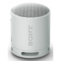 Sony SRS-XB100