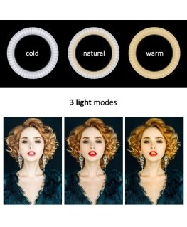 Ring LED lamp Maclean with stand, 1.1 m, 10