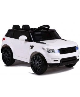 Lean Cars Auto na Battery HL1638 White